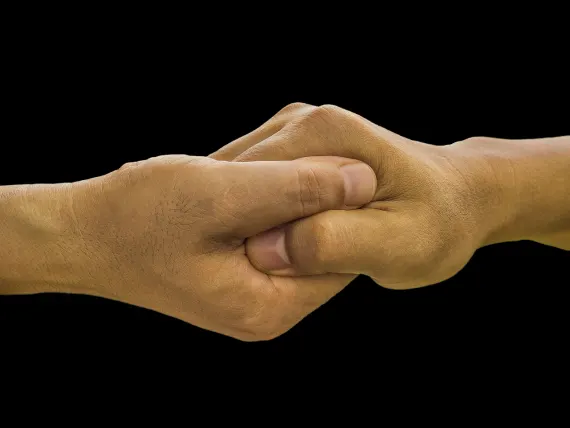 BlueFox Kasino Sokongan